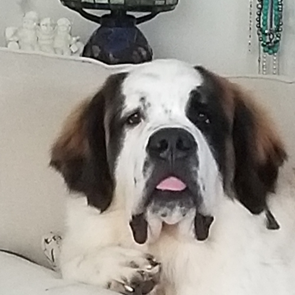 Meet your Posher, Lori